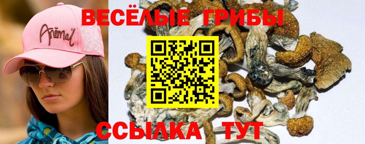 Галлюциногенные грибы ЛСД Жуковский